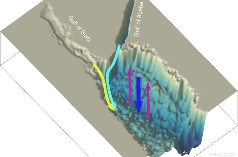 Red Sea s Rapid Water Renewal Powered by Distant Volcanoes