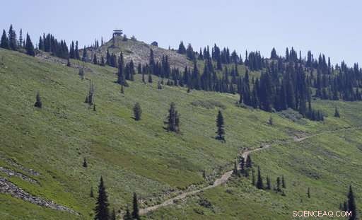 Historic Lookout Towers Remain Critical for Wildfire Monitoring in the Western United States
