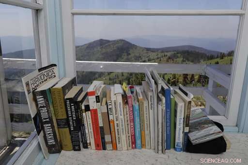 Historic Lookout Towers Remain Critical for Wildfire Monitoring in the Western United States