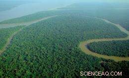 How Ancient Farmers Reshaped the Amazon: Enduring Legacy of Their Agriculture