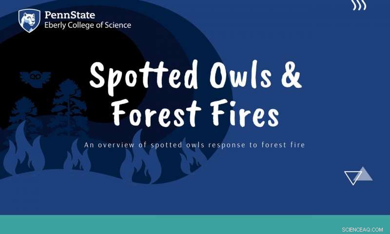 Reevaluating Wildfire Management: New Evidence Suggests Benefits for Spotted Owls