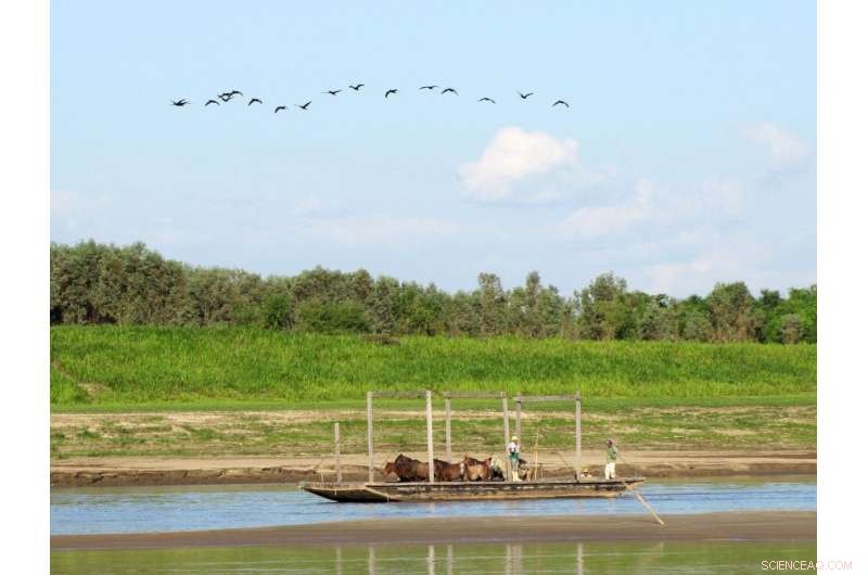 Unveiling the Origins of Amazonian Agriculture: Insights from a £340,000 Study