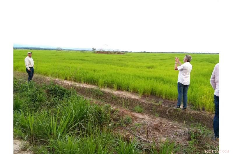 Space-Based Solutions Deliver Timely Crop Data for Colombian Farmers