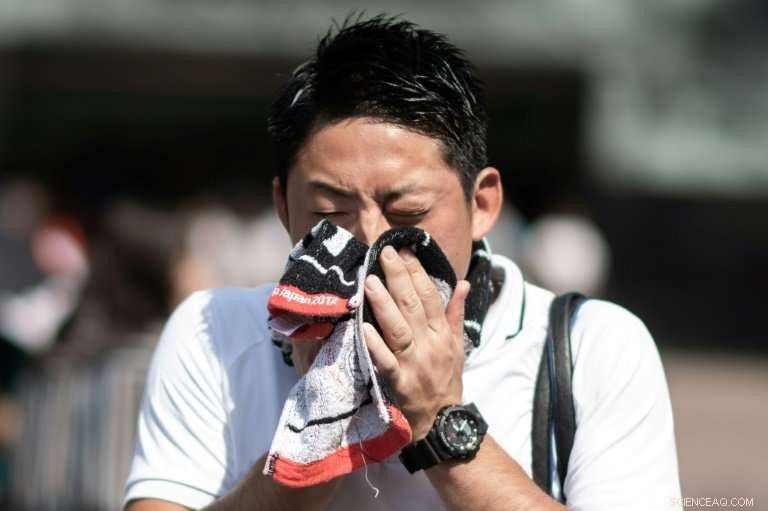 Japan Faces Record Heatwave, 65 Lives Lost in a Week
