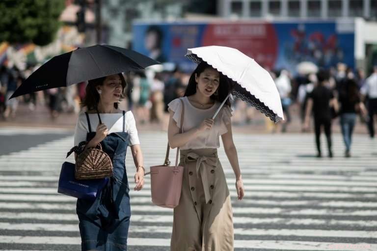 Japan Faces Record Heatwave, 65 Lives Lost in a Week