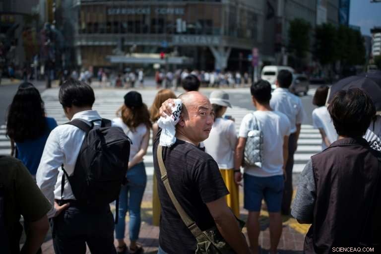 Japan Faces Record Heatwave, 65 Lives Lost in a Week