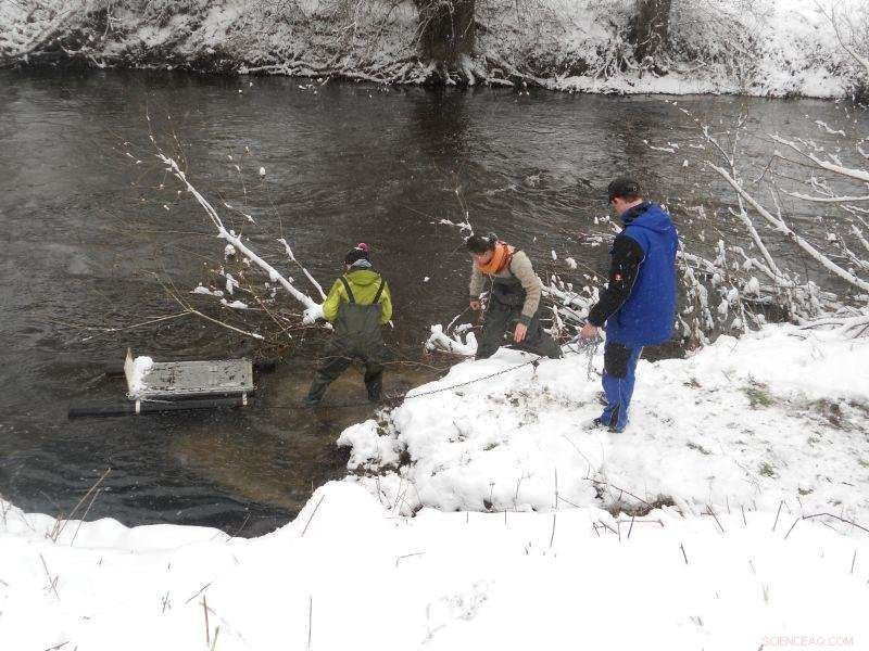Revolutionary Water Purification Techniques for Safer Aquatic Ecosystems