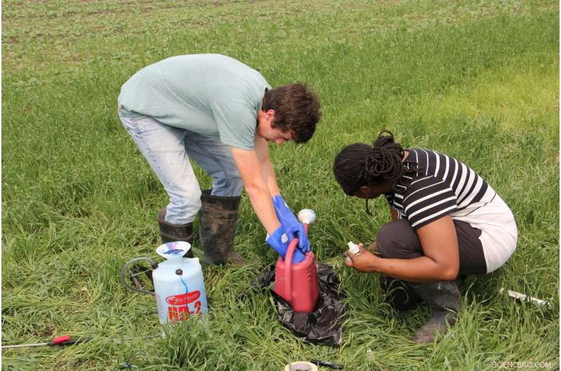 Manure Leakage Through Soil Cracks: Environmental Impact and Solutions