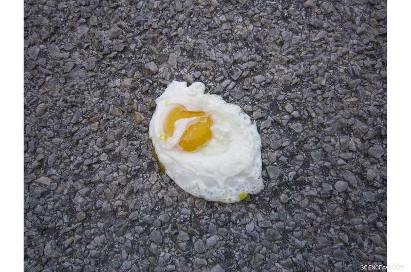 Future Heat Waves Will Exceed Current Summer Temperatures: What to Expect