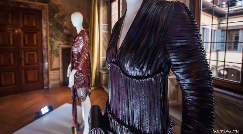 Transforming Wine Waste into Eco‑Friendly Leather Alternatives