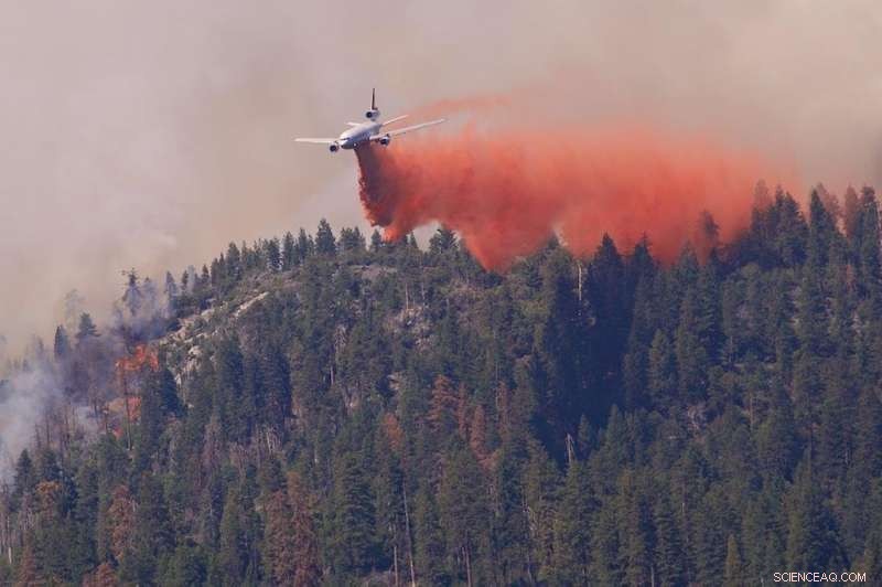 Rising Wildfire Suppression Costs Exceed Forest Service Control