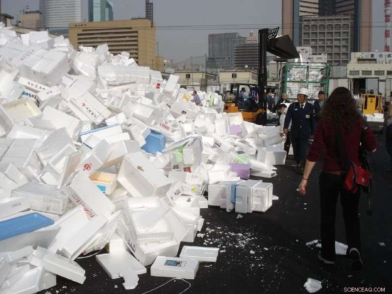 Transforming the Waste Crisis into Design Opportunities