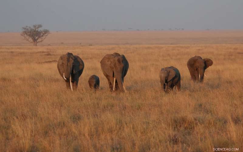 Tropical Biomes on the Brink: Scientists Warn of Global Biodiversity Collapse