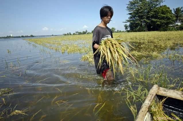 Climate Change and the Future of Global Food: What You Need to Know