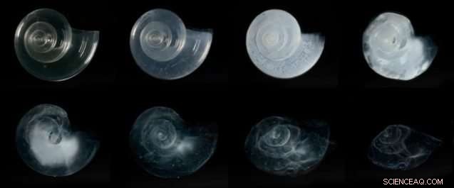 Climate Change and the Future of Global Food: What You Need to Know