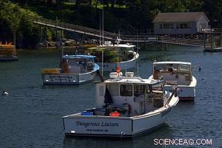 Climate Change and the Future of Global Food: What You Need to Know