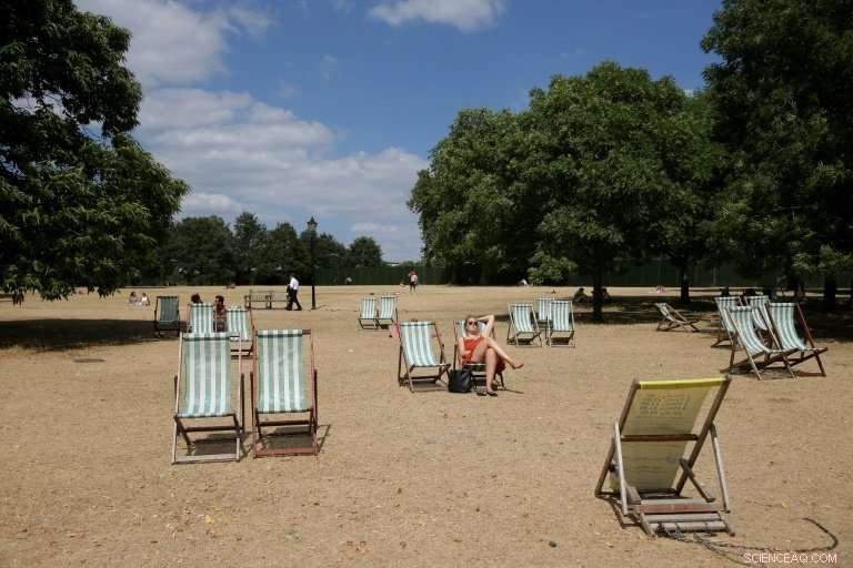 Heatwave Engulfs Northern Europe While Greece Faces Devastating Wildfires