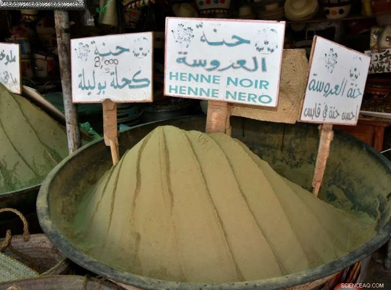 Henna Loses Its Allure: Tunisia s Red Gold in Decline