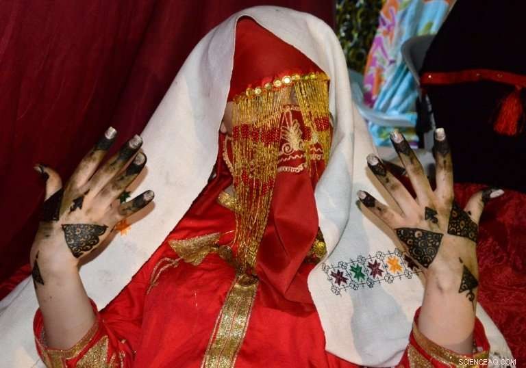 Henna Loses Its Allure: Tunisia s Red Gold in Decline