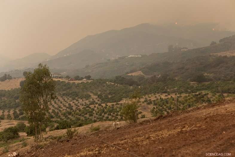 Tweets Serve as Reliable Indicator of Air Quality During Wildfires