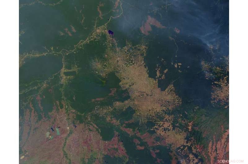 How Satellites Chronicle Wildfires, Volcanoes, and Climate Change in Our Evolving World