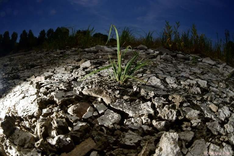 Record Heatwaves from the Arctic to Japan Signal Climate Change Trends