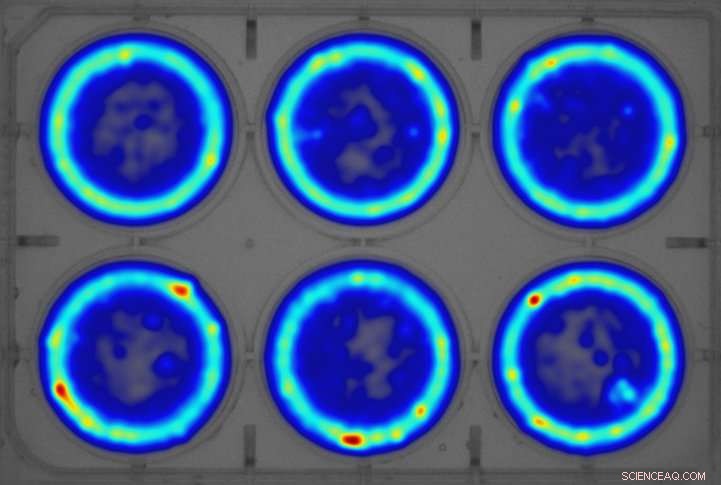 Pollution s Impact on Wildlife Behavior Revealed by New Scientific Tests