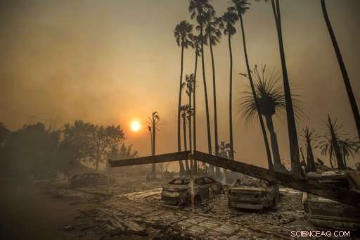 Urban Sprawl and Climate Change Amplify Wildfire Threat, Experts Warn