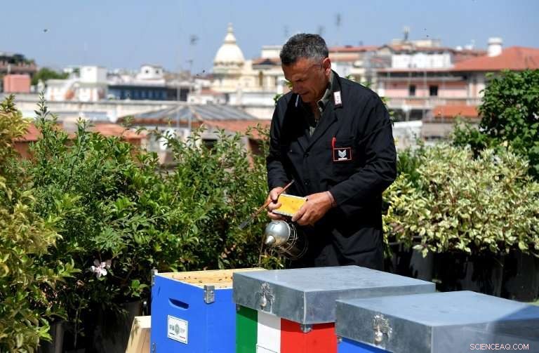 Beekeepers Help Monitor Rome s Air Quality from Rooftops