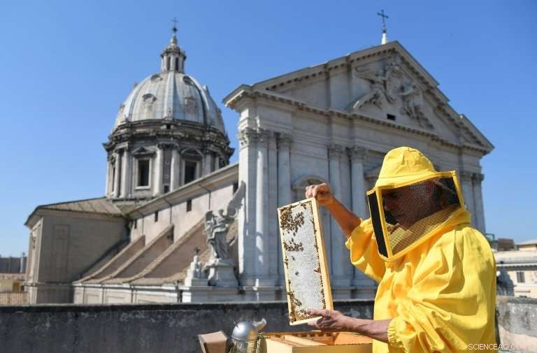 Beekeepers Help Monitor Rome s Air Quality from Rooftops