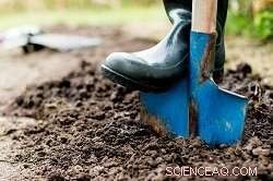 Smart Gardens Harness Data to Protect Earth’s Soil