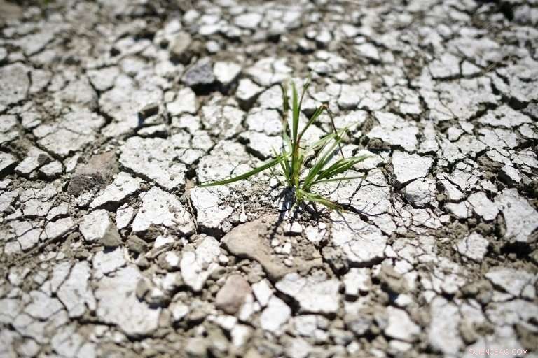 Germany s Breadbasket Suffers Record Drought, Threatening Food Security