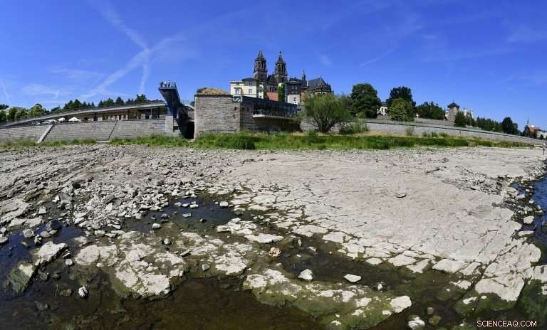 Germany s Breadbasket Suffers Record Drought, Threatening Food Security