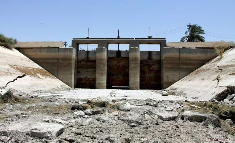 Iraq’s Farmers Battle Drought to Protect Cattle