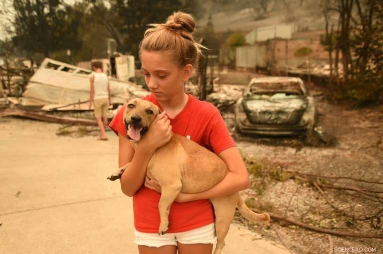 California Wildfires: Death Toll Climbs Amid Extreme Dryness
