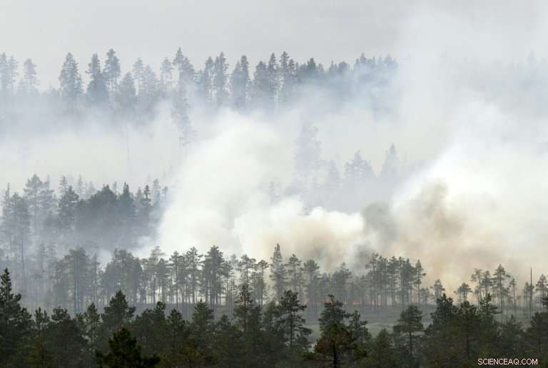 Sweden’s Wildfires Diminish as International Firefighters Depart
