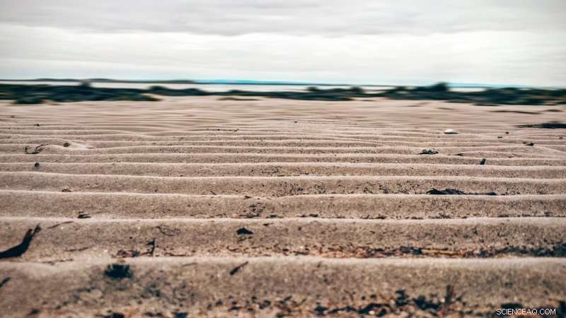 Rising CO2 Levels Threaten to Return Europe and New Zealand to Paleogene-Style Tropical Climates