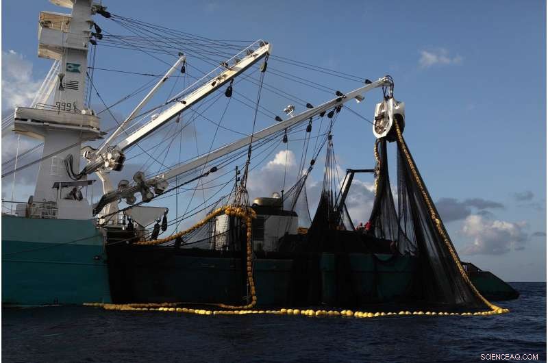 Human Impact on Earth s Resources: Footprint Estimates Fall Short