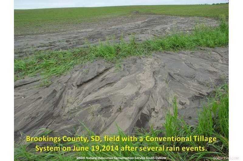 Human Impact on Earth s Resources: Footprint Estimates Fall Short