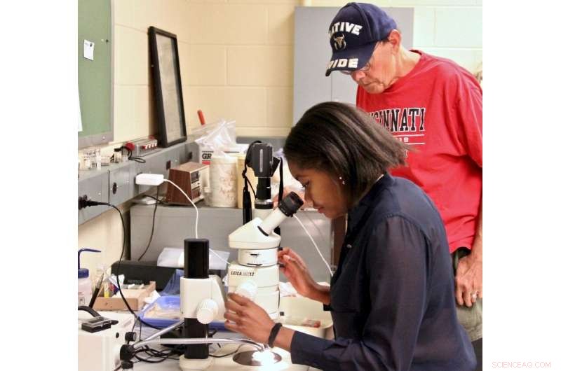 Platinum Traces Uncover Ancient Volcano-Driven Climate Shifts, Study Reveals