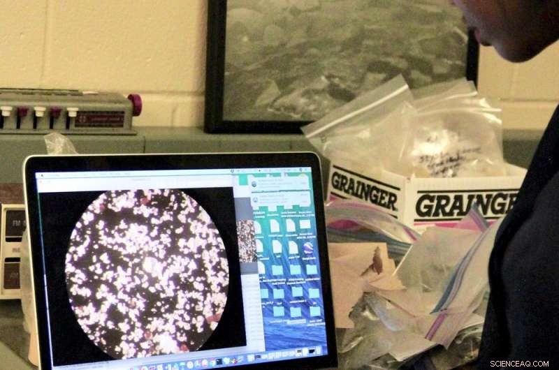 Platinum Traces Uncover Ancient Volcano-Driven Climate Shifts, Study Reveals