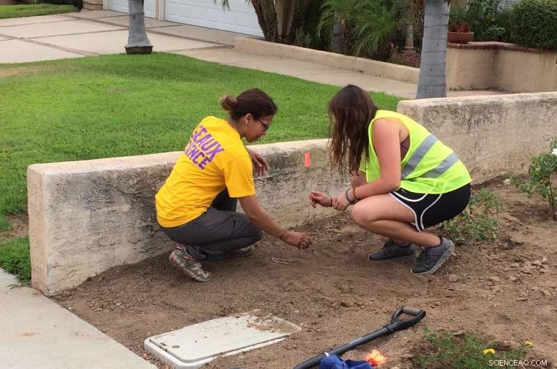 Urban Geophone Array Provides Fresh Insights into Northern Los Angeles Basin