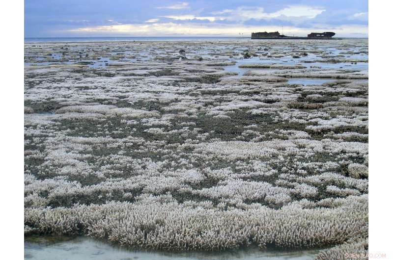 Geoengineering the Great Barrier Reef: Why Robust Rules Are Essential