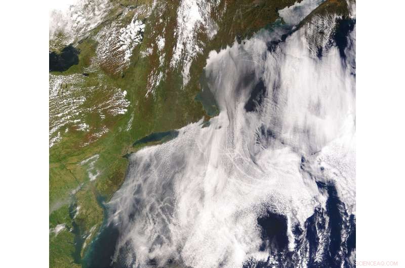 Geoengineering the Great Barrier Reef: Why Robust Rules Are Essential