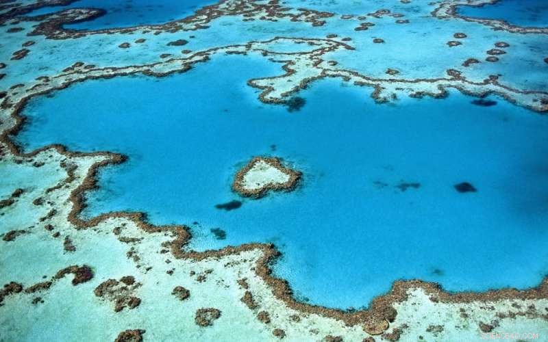 Geoengineering the Great Barrier Reef: Why Robust Rules Are Essential