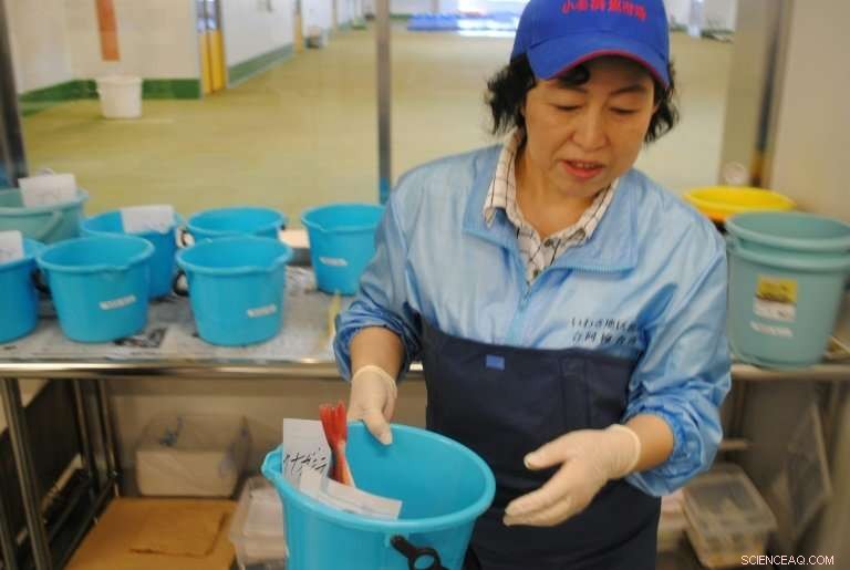 Restoring Confidence: How Fukushima Farmers Are Rebuilding Trust in Their Produce