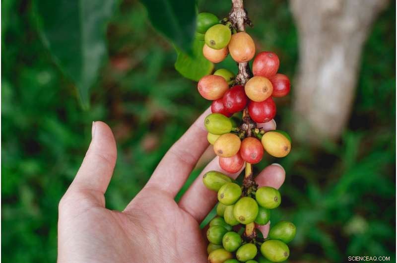 Can Symbiotic Microbes Safeguard Ecosystems Against Climate Change?