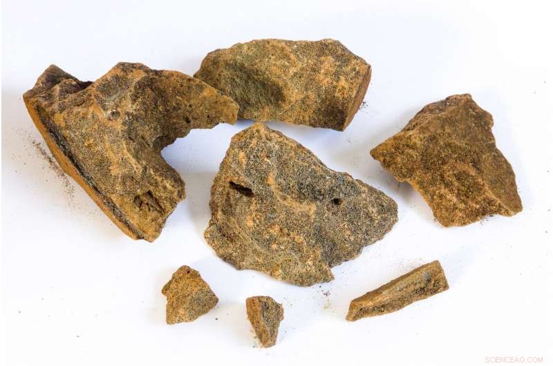 North & Baltic Seas: Tackling Hazardous Contamination