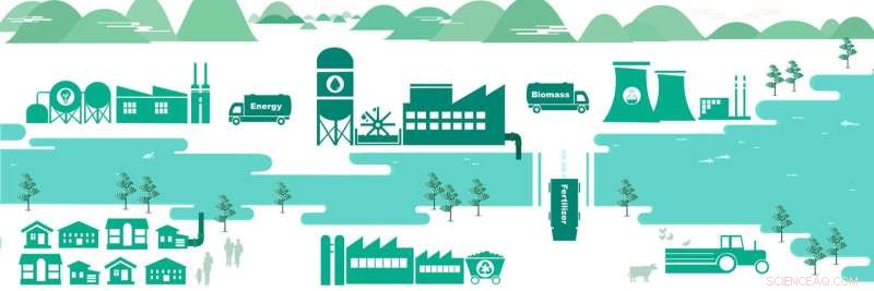 Harnessing Nature to Build Sustainable Green Water Treatment Facilities