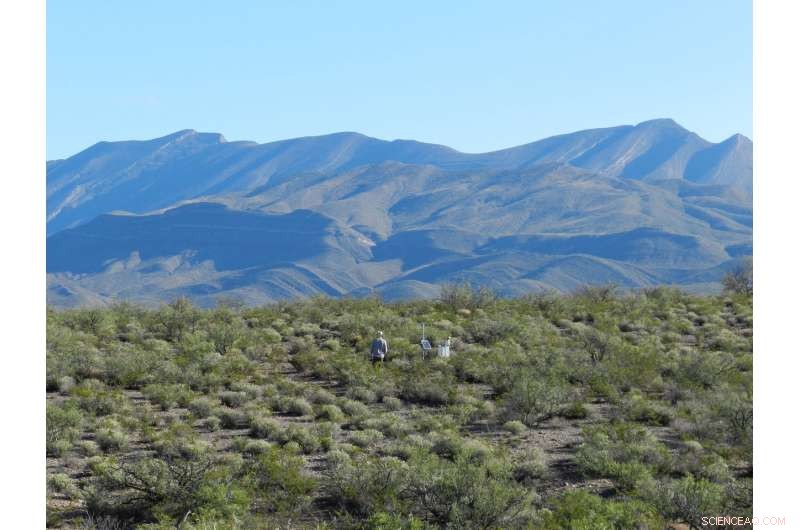 Monsoon Showers Boost Underground Aquifers: New Study Reveals Benefits